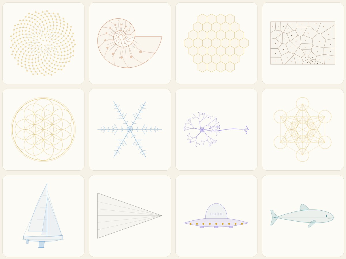 A grid of twelve line-drawn shapes: sunflower, nautilus, honeycomb, Voronoi cells, Flower of Life, snowflake, neuron, Metatron's cube, sailboat, paper plane, UFO and dolphin